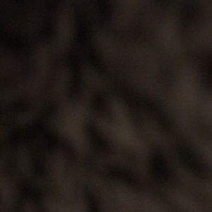 Meet your Posher, Jess